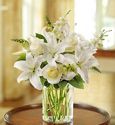 Classic all White Arrangement Flower Power, Florist Davenport FL